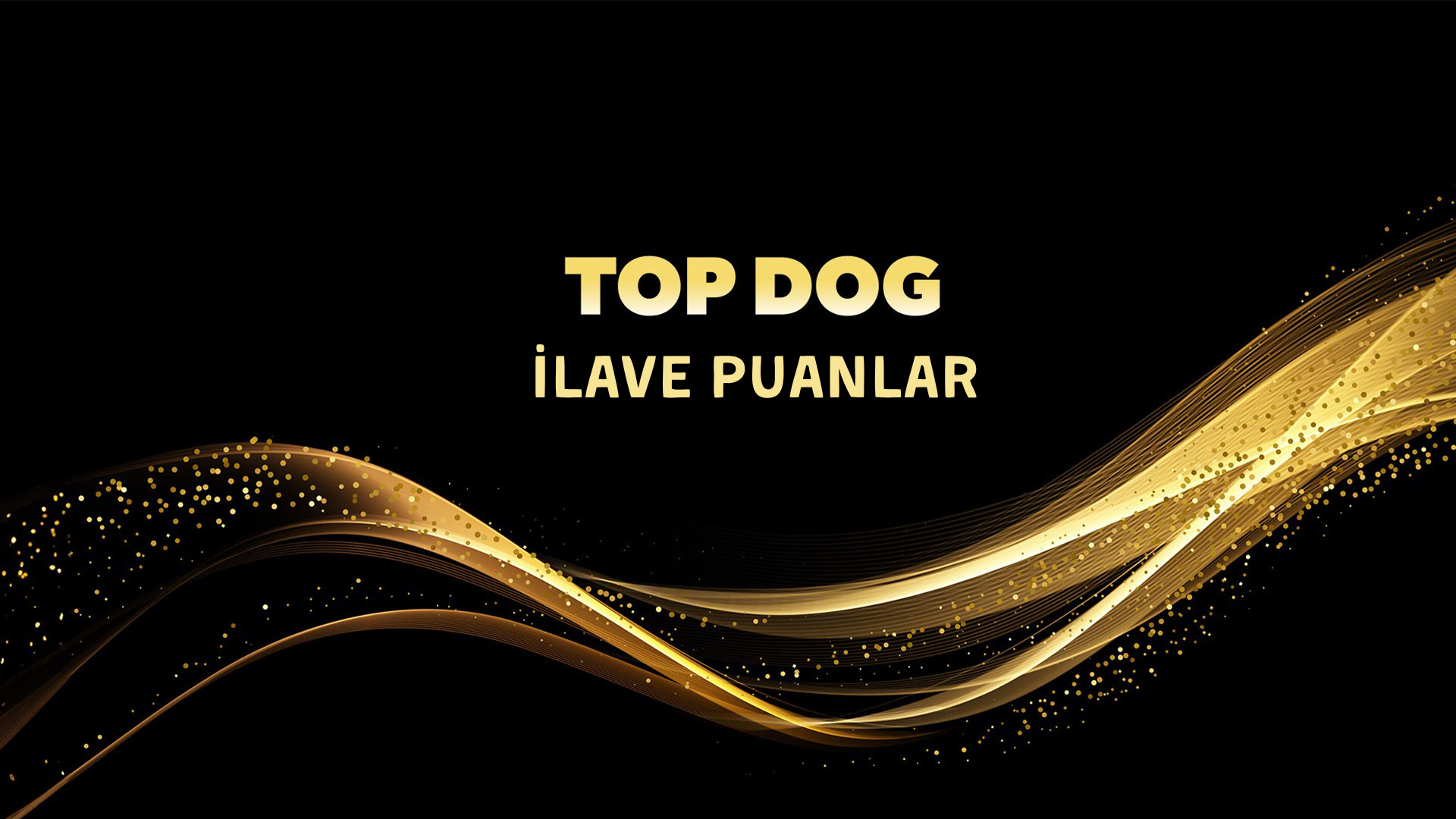 2026 Top Dog Kuralları ve Süreçleri